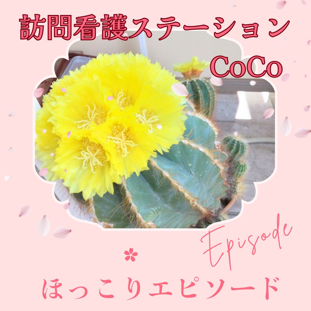 訪問看護ステーションCoCo(ここ)♡ほっこりepisode♡