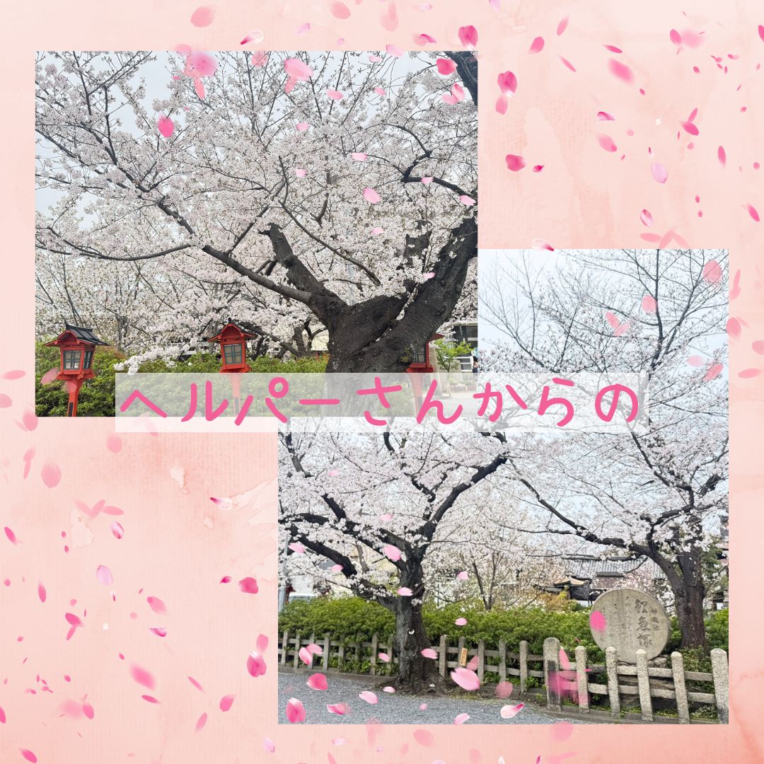 春がやってきた2026訪問②