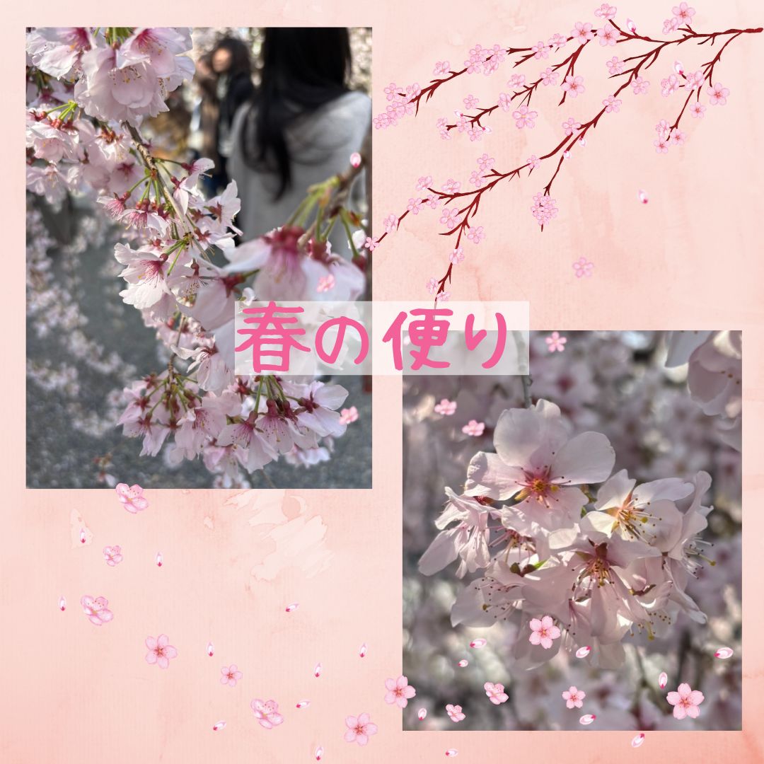 春がやってきた2026訪問③