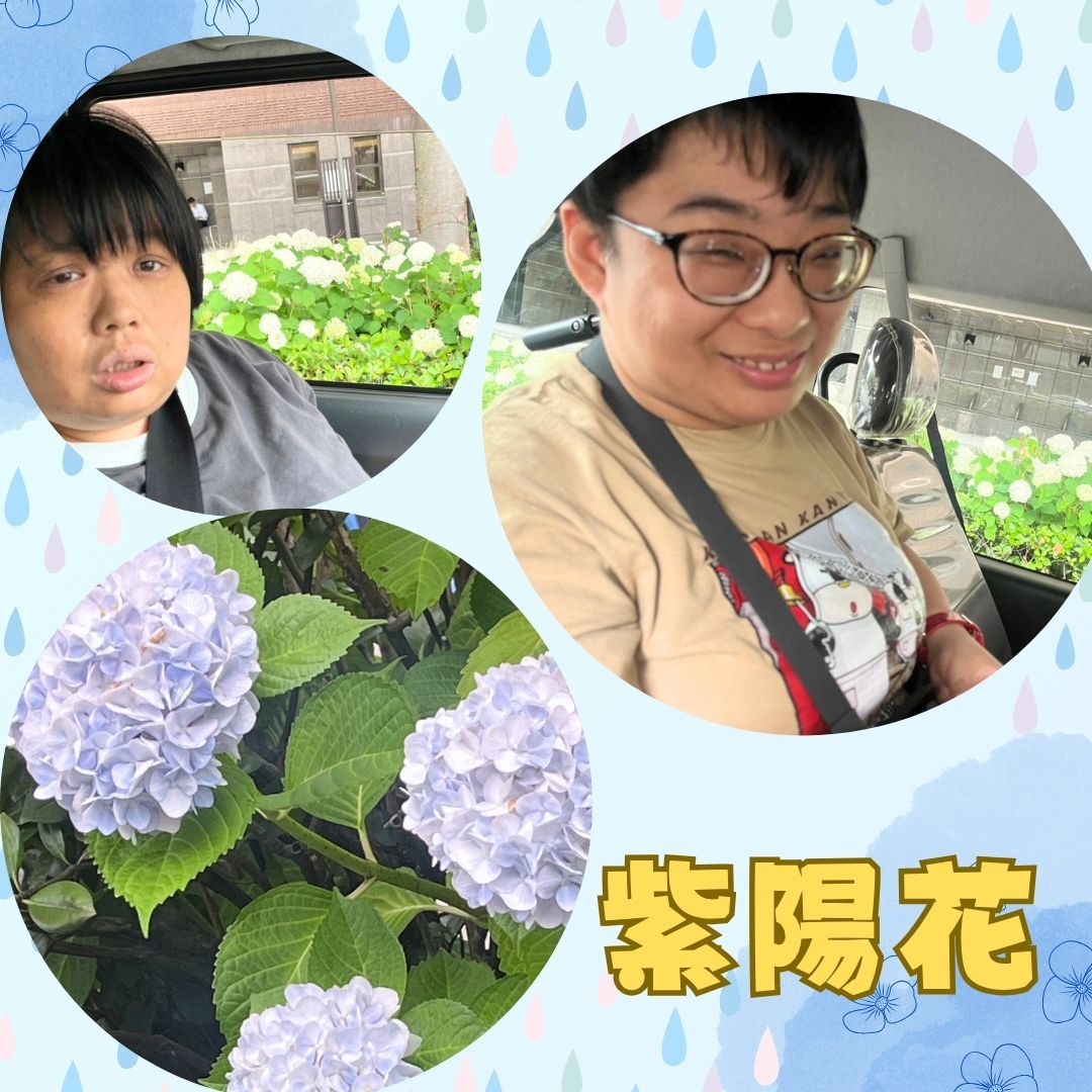 デイ2025年紫陽花ドライブ②