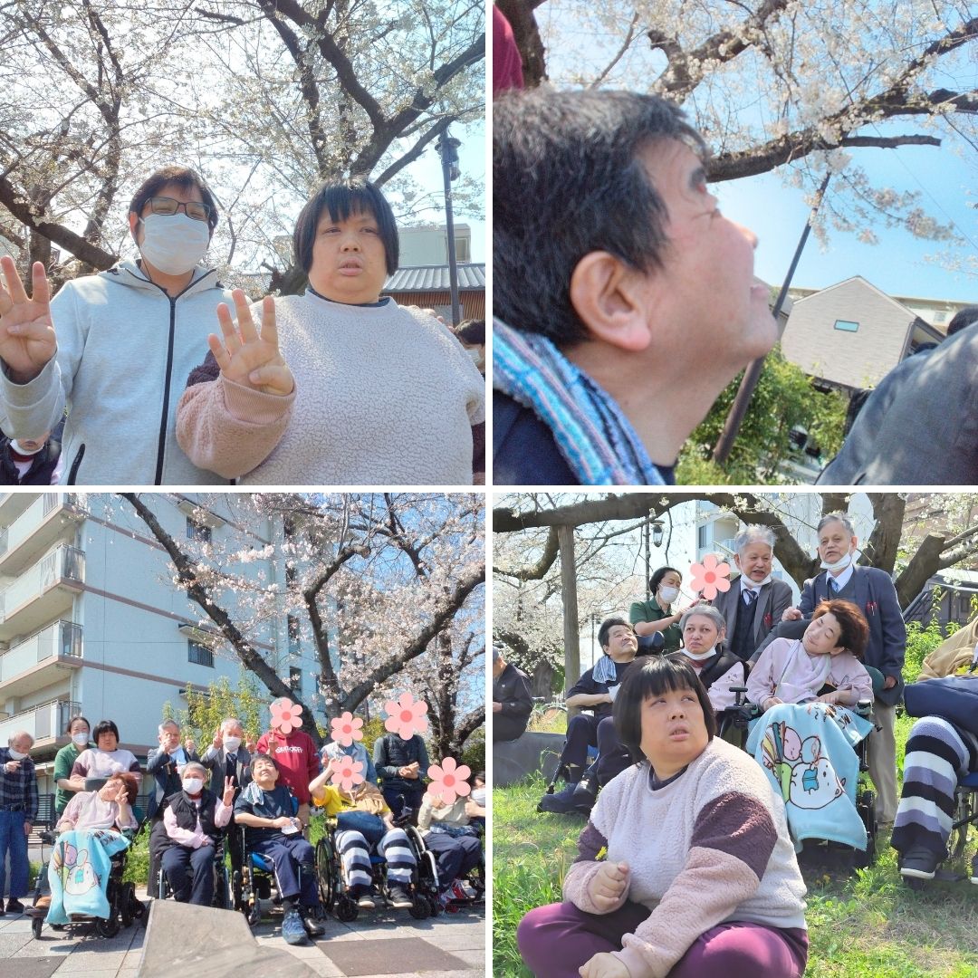 2026年お花見デイサービス銭形②