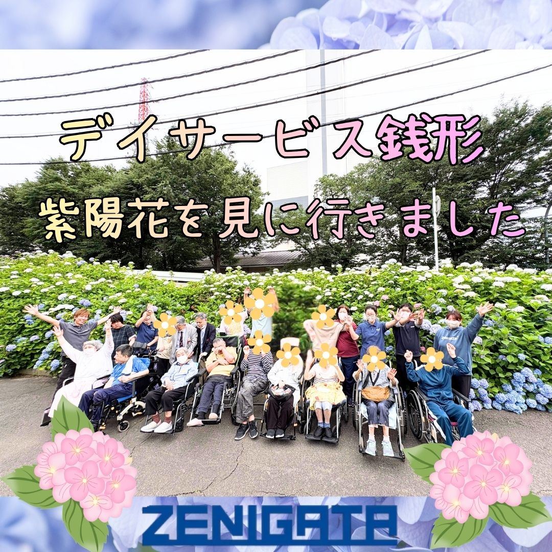【紫陽花見学に行ってきました☔🌿】