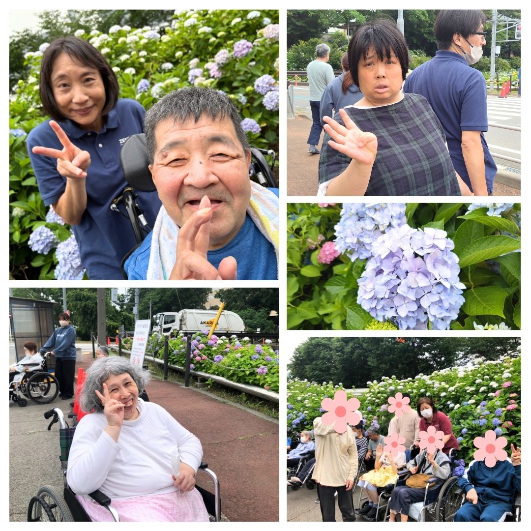 2026年デイさすてな紫陽花②