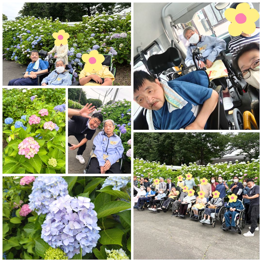2026年デイさすてな紫陽花③