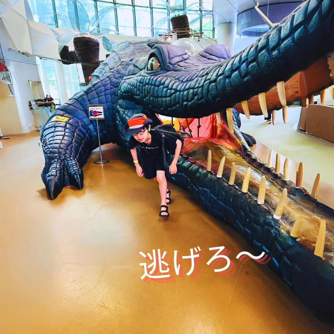 堺市立ビッグバン2025③