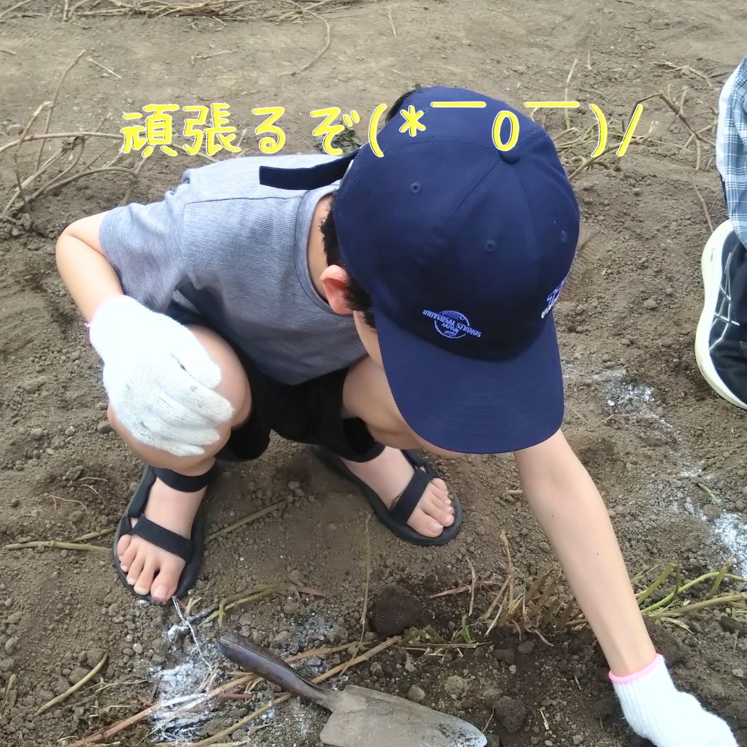 2025年芋掘りしたよ③