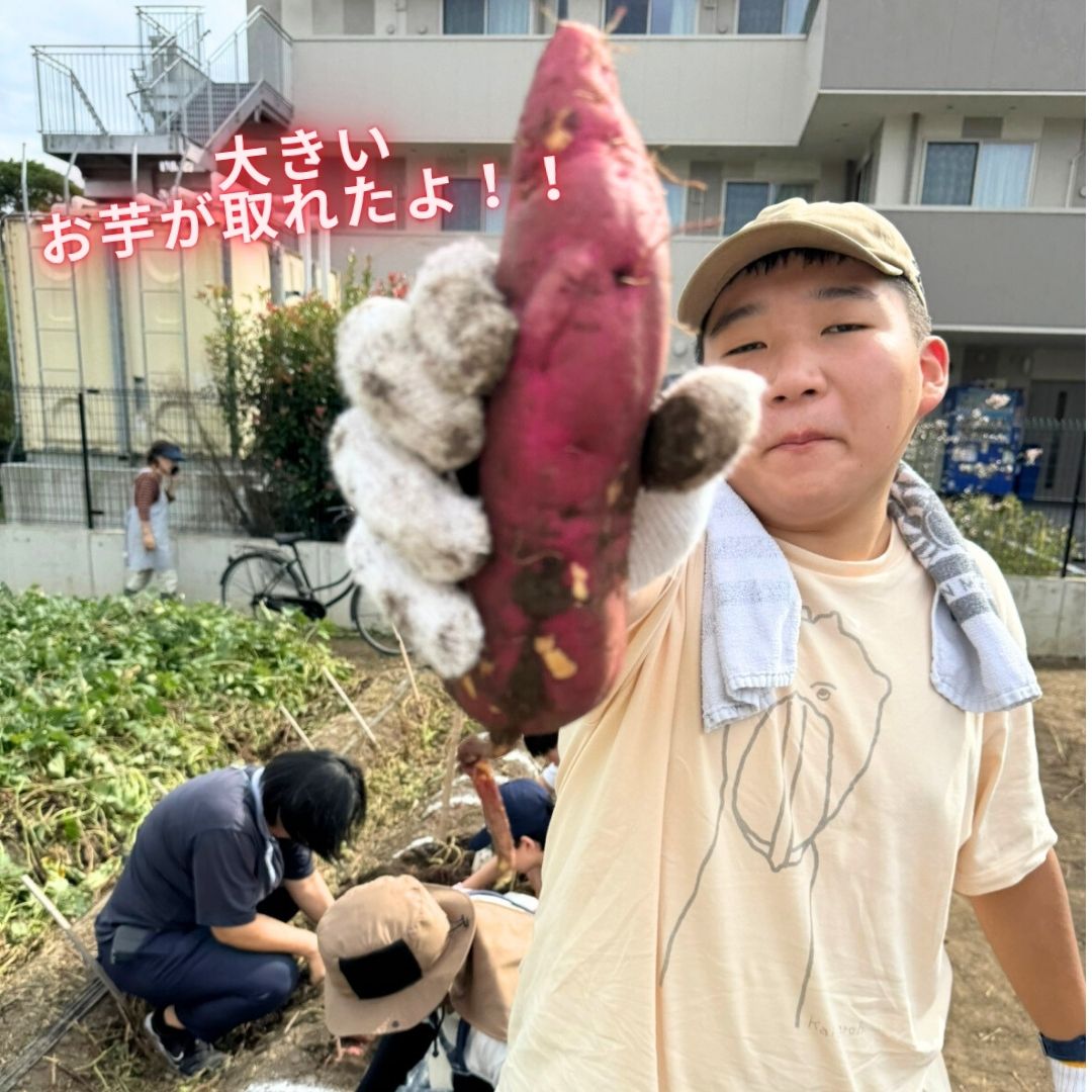 2025年芋ほりしたよ④