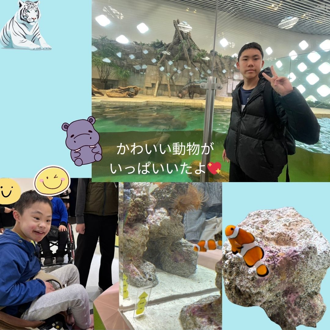 ニフレル2026年④