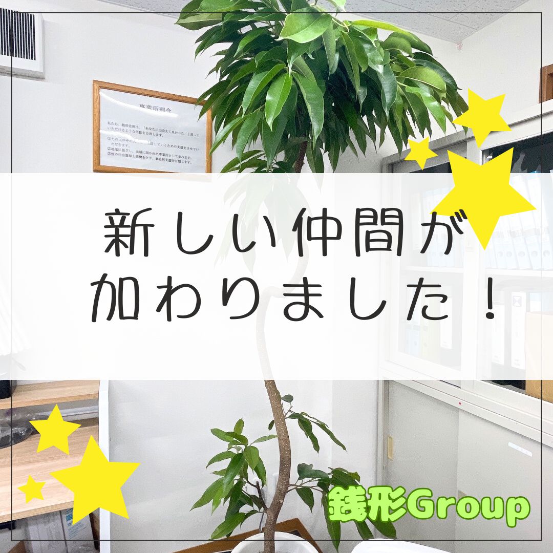 🌿【オフィスに緑を🌱】