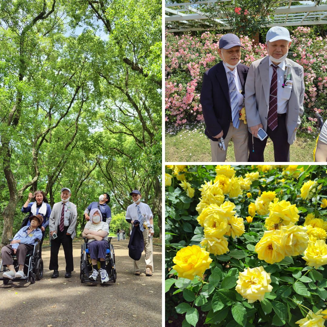 植物園 (3)