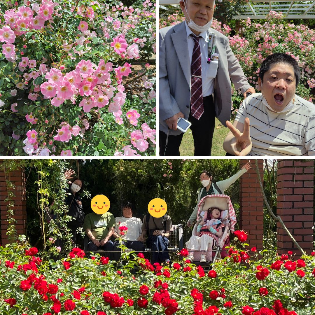 植物園 (2)