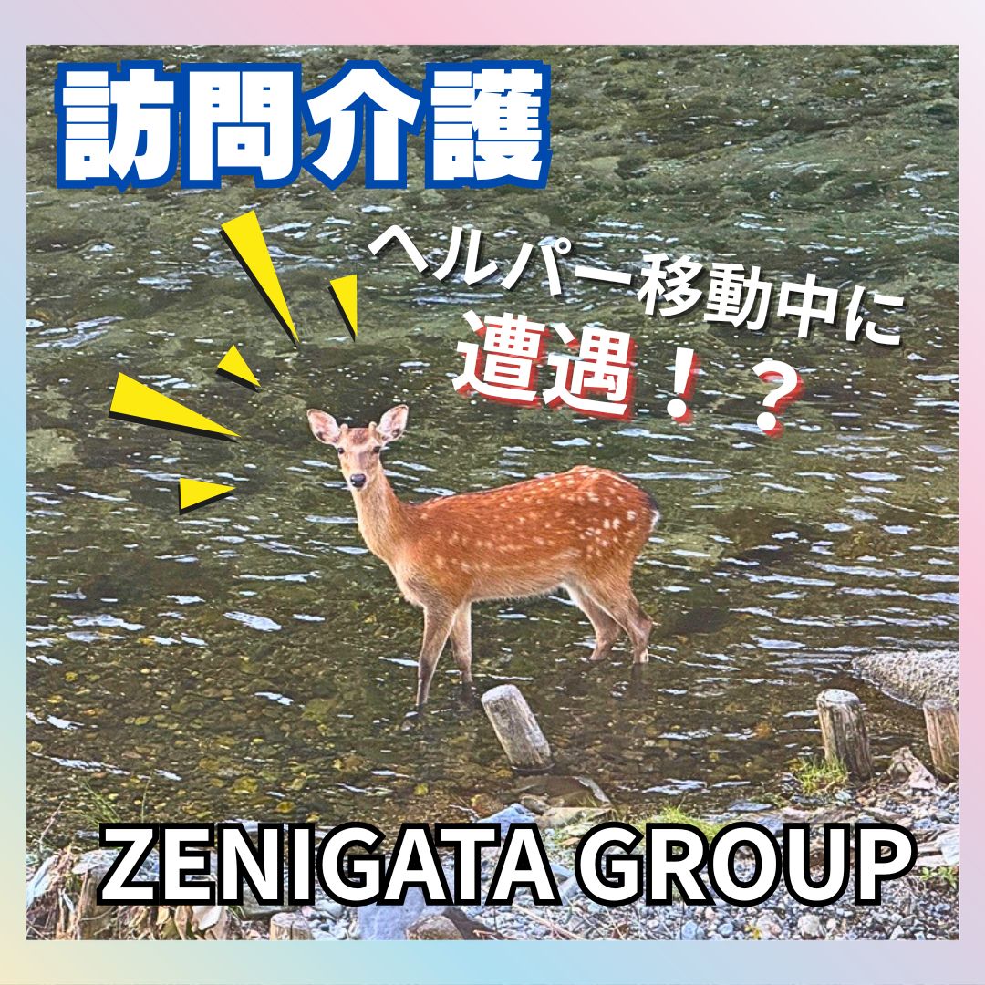 訪問介護ほっこりエピソード✨